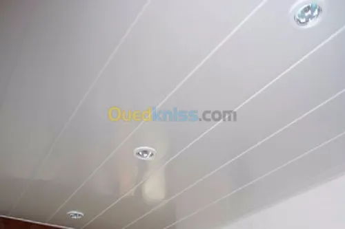 Tout type de faux-plafond