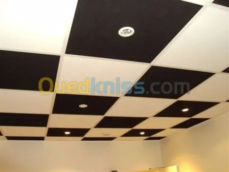 Tout type de faux-plafond