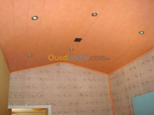 Tout type de faux-plafond