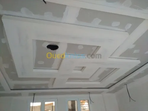 Tout type de faux-plafond
