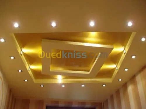 Tout type de faux-plafond