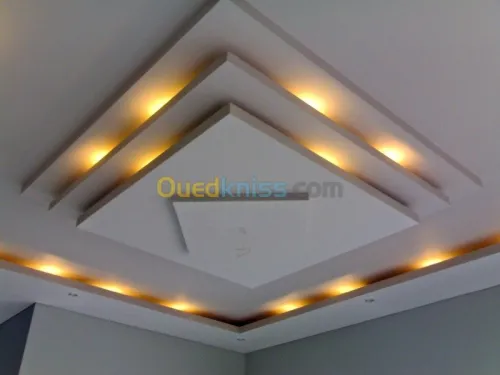 Tout type de faux-plafond