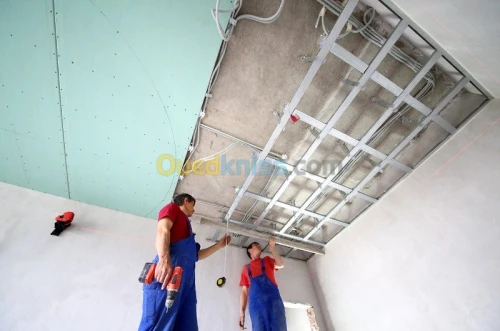 Tout type de faux-plafond