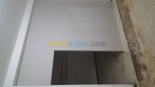 placoplatre (BA13)+peinture deco+grifi