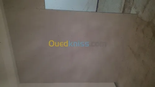 placoplatre (BA13)+peinture deco+grifi