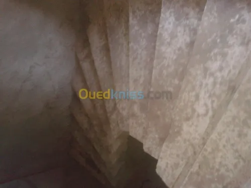 global escalier