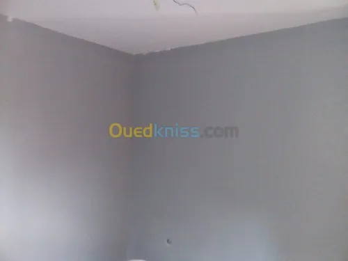 Placoplâtre b13 et pvc