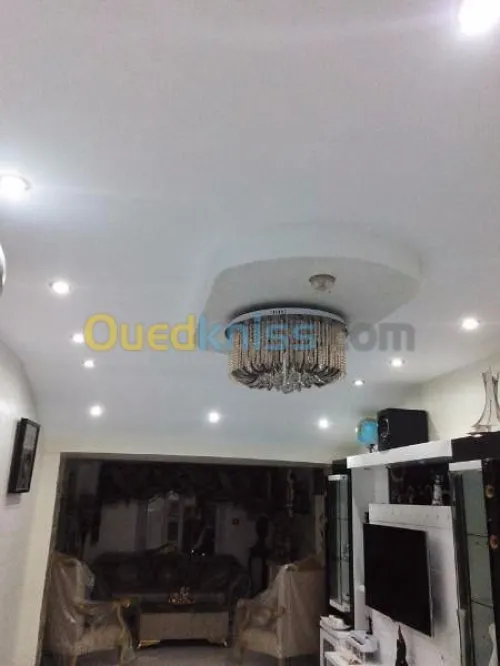 Placoplâtre b13 et pvc