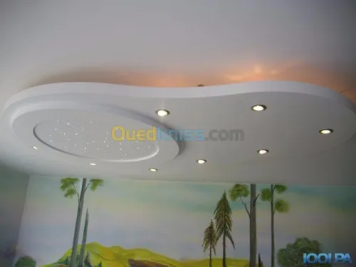 Placoplâtre b13 et pvc