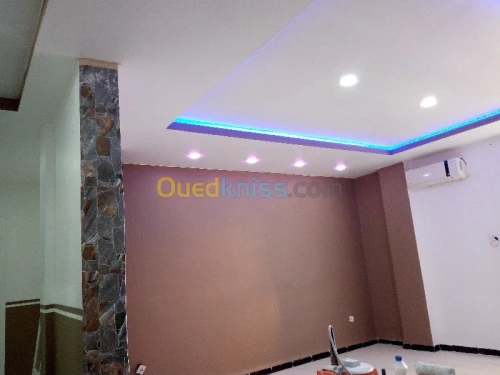 Peinture et décoration placo plâtre 