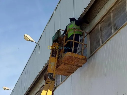 LUTTE ANTI PIGEONS (DEPIGEONNAGE) 