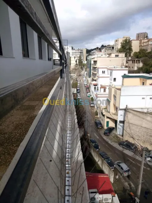 LUTTE ANTI PIGEONS (DEPIGEONNAGE) 