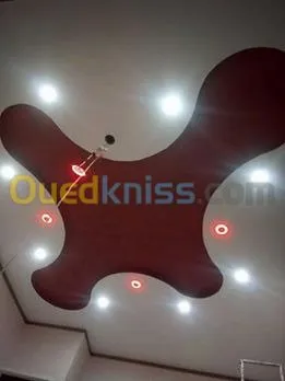Habillage & faux plafond "placoplâtre"