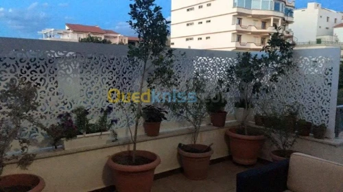 aménagement vis a vis terrasse  