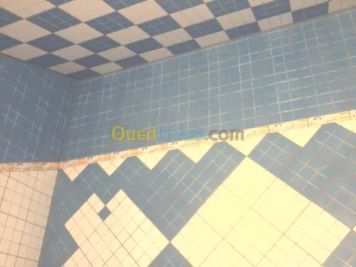 carreleur ,faïencier  