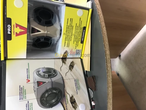 dératisation  rats souris 