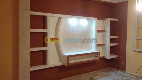 travaux Placo plâtre b13 et pvc