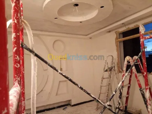 travaux Placo plâtre b13 et pvc