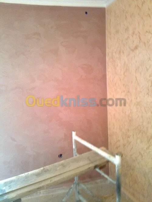 travaux Peinture bâtiment