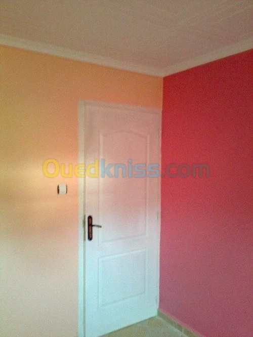 travaux Peinture bâtiment