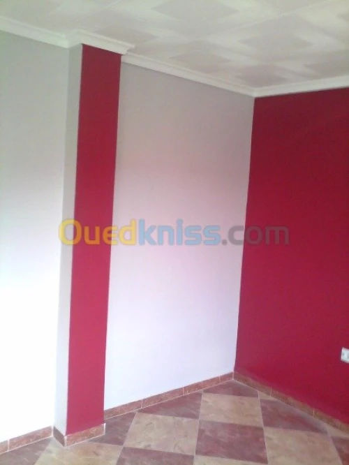 travaux Peinture bâtiment