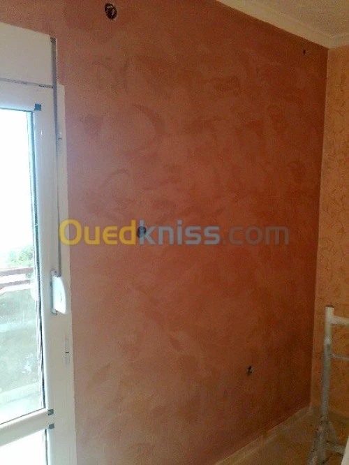 travaux Peinture bâtiment