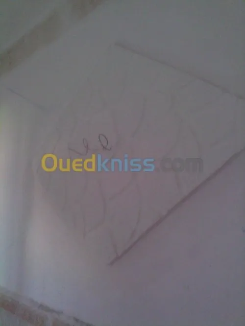 travaux Peinture bâtiment