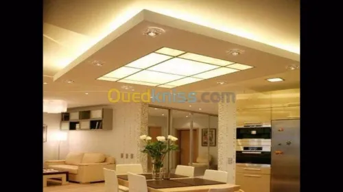  Placo plâtre b13 et PVC
