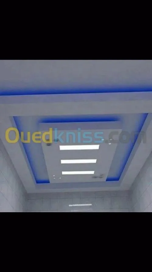  Placo plâtre b13 et PVC