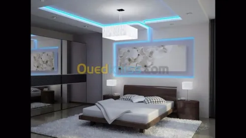  Placo plâtre b13 et PVC