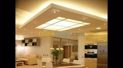  Placo plâtre b13 et PVC