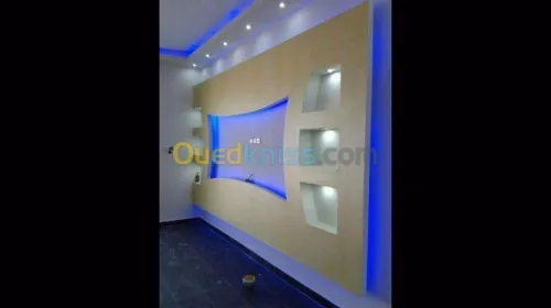  Placo plâtre b13 et PVC