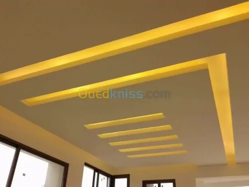  Placo plâtre b13 et PVC