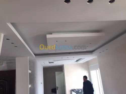  Placo plâtre b13 et PVC