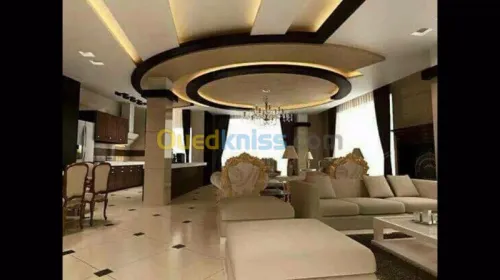  Placo plâtre b13 et PVC