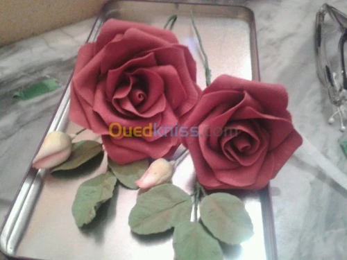 formation Coloration