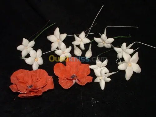 formation Coloration