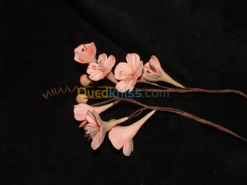 formation Coloration