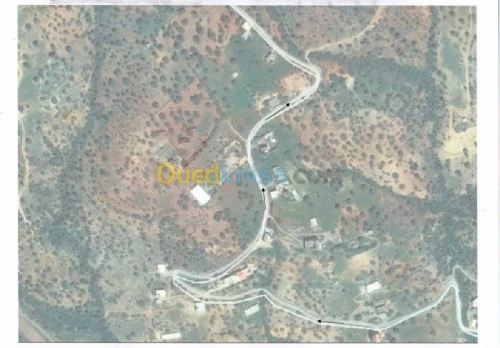 Vente Terrain Bejaia Tazmaltdaira