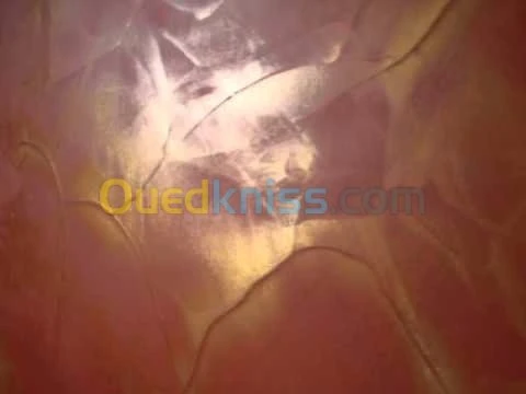travaux de peintures et decoration