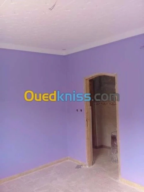 travaux de peintures et decoration