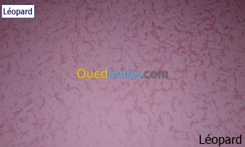 travaux de peintures et decoration