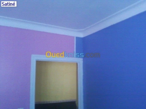 travaux de peintures et decoration