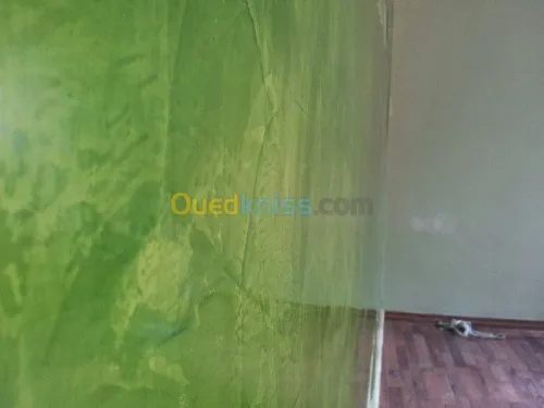 peinture décortive