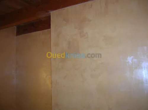 peinture décortive