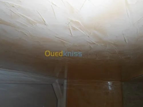 peinture décortive