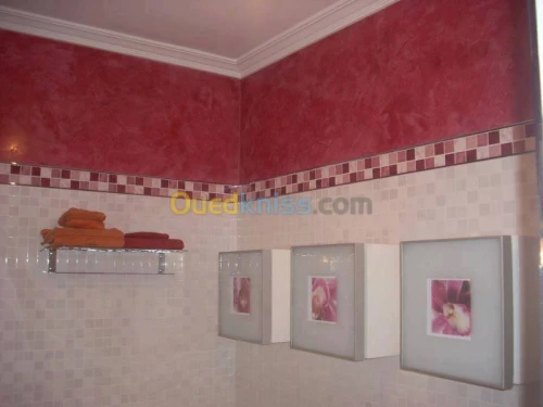 tout décoration intérieur et BA13