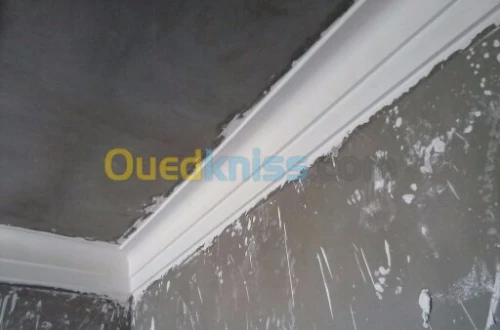 installation les rosaces en platre