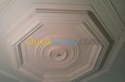 installation les rosaces en platre