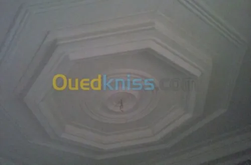 installation les rosaces en platre